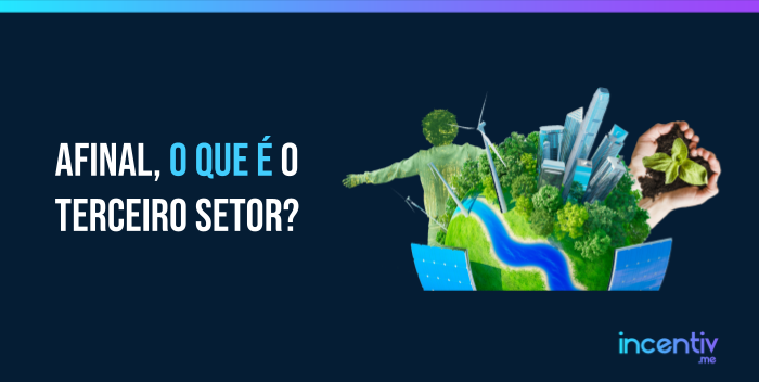 Afinal, o que é o Terceiro Setor? Afinal, o que é o Terceiro Setor?
